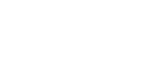 LESAK – profesionální vážicí technika